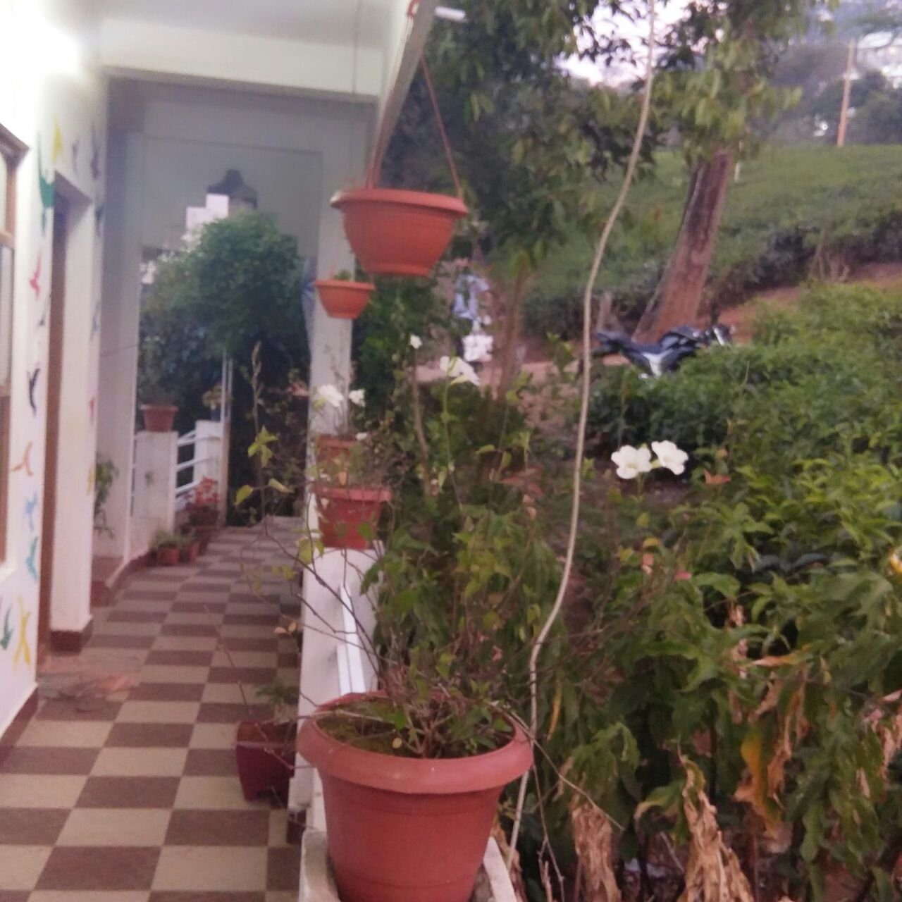 Starlit holidays homes Chithirapuram near Munnar