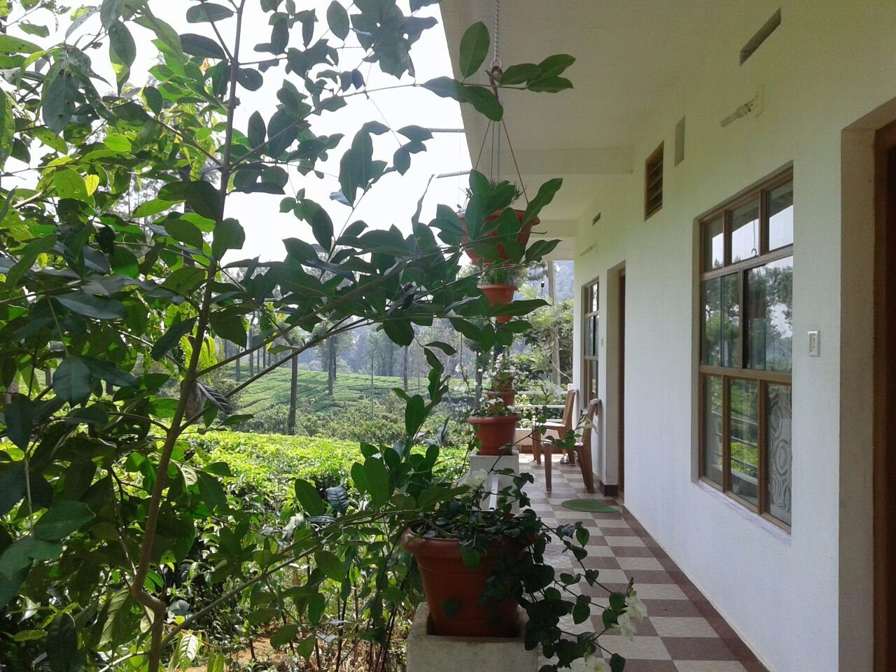 Starlit holidays homes Chithirapuram near Munnar