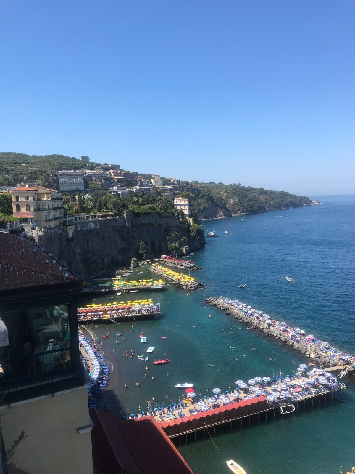 Il Tulipano