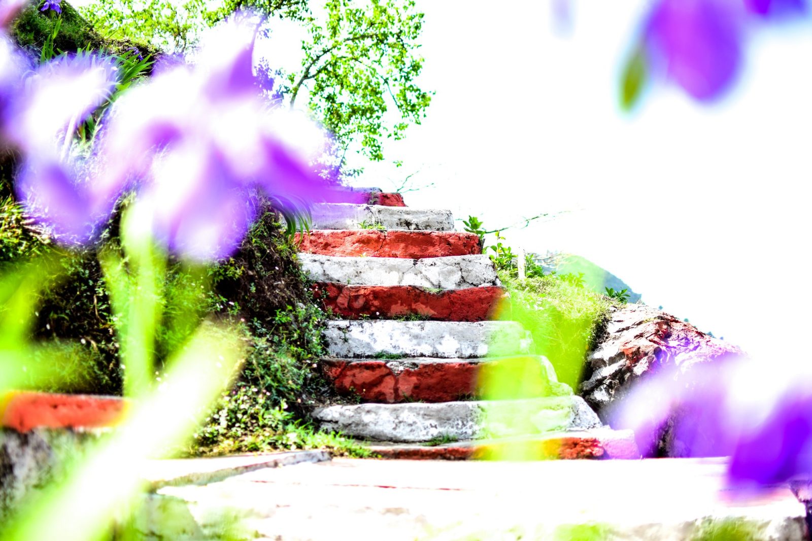 The Brigadiers Cottage, Mussoorie