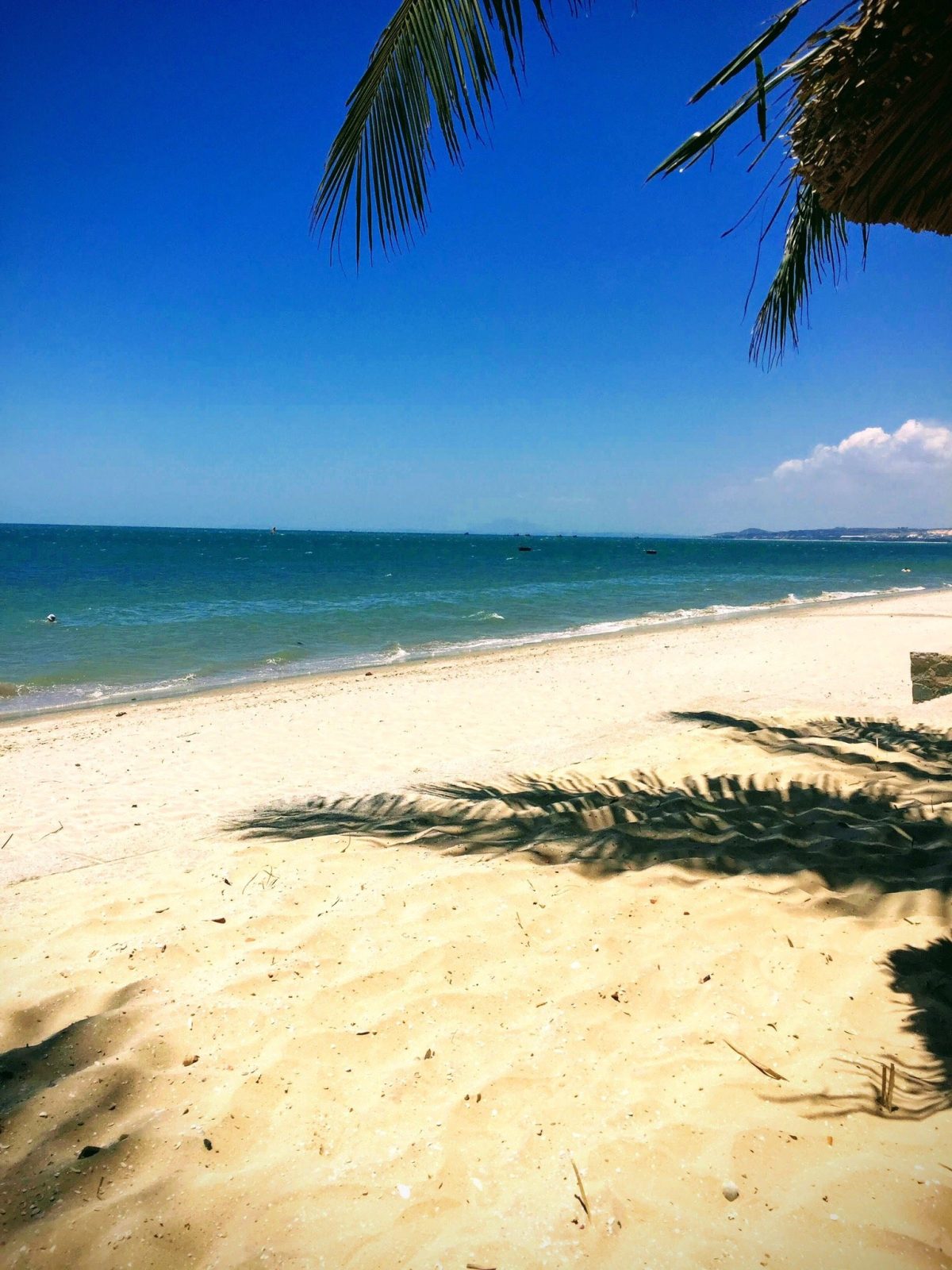 Canary Beach Resort