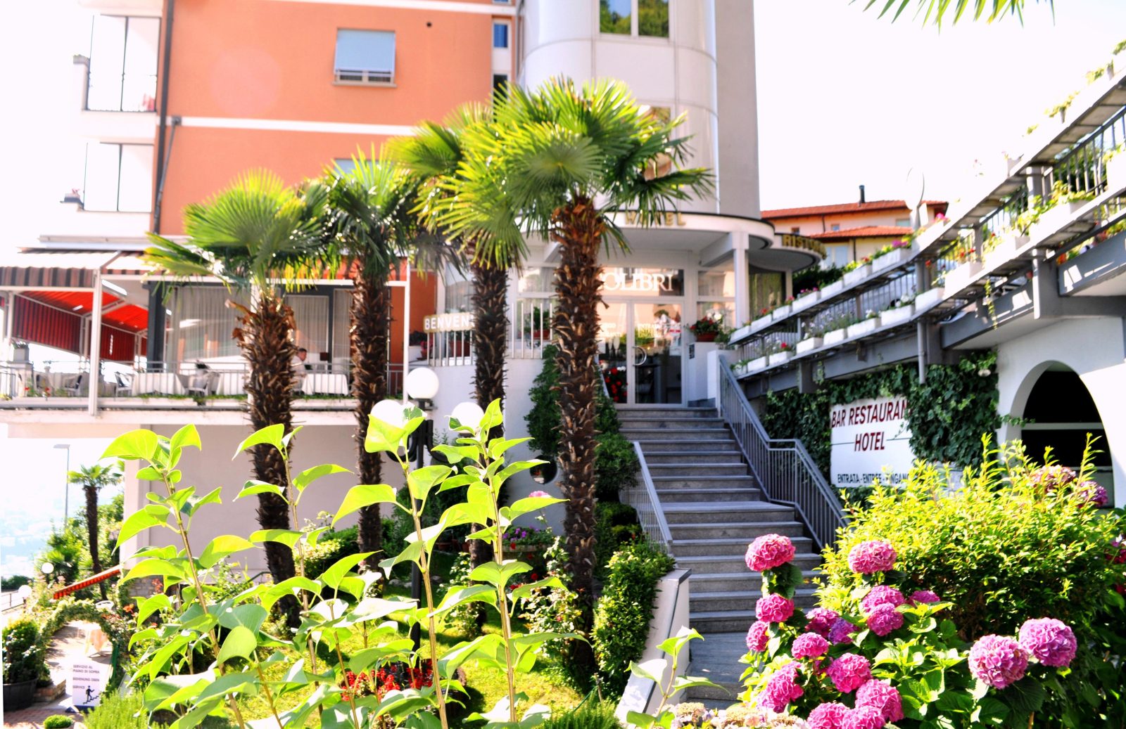 Hotel Colibri