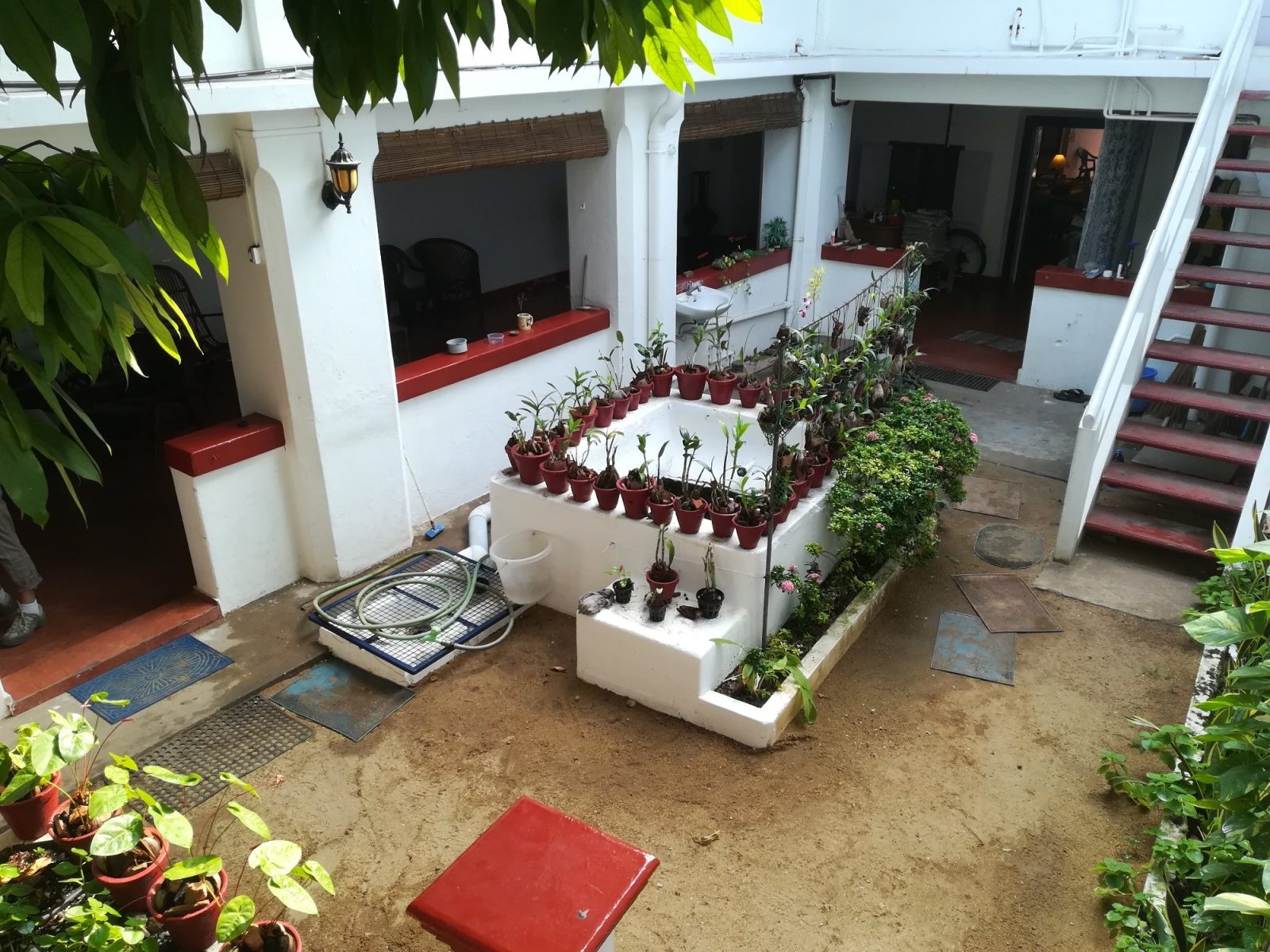 walton`s home stay hotel kochi (cochin)