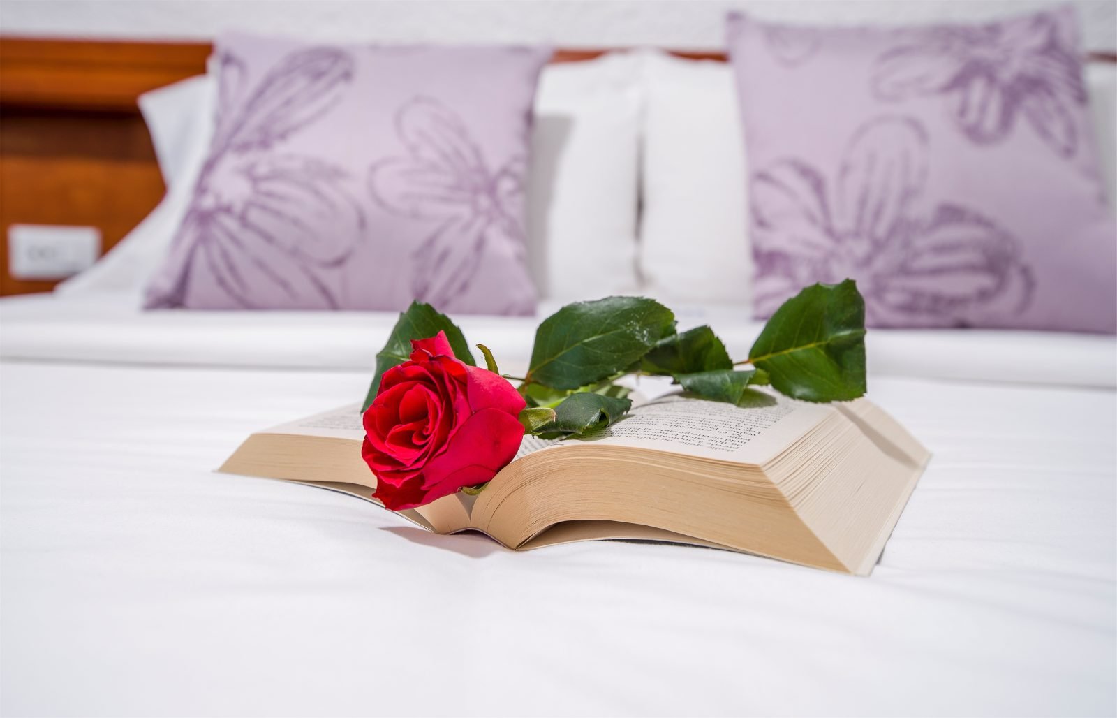 Folia Apartments Chania