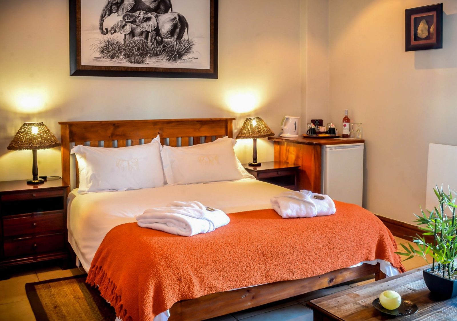 Knysna Elephant Park Lodge