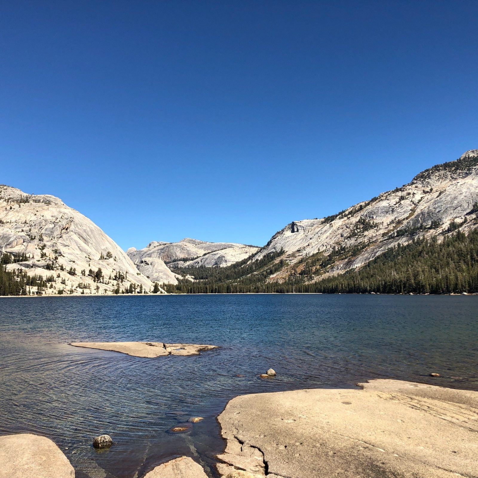 Yosemite Plaisance Bed & Breakfast