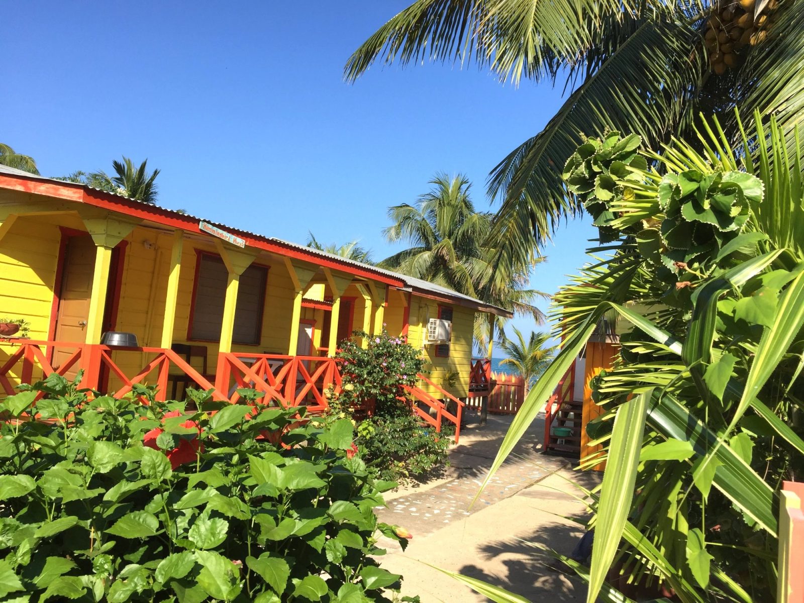 julia`s rooms, guest house, and cabanas hotel placencia