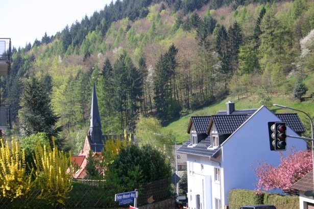 Zum Löwen Heidelberg