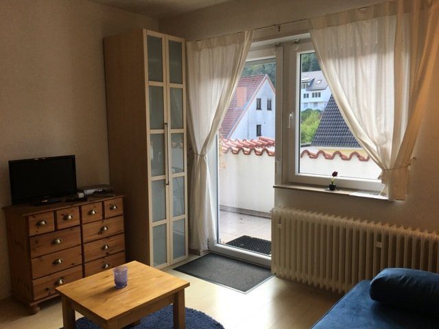 Zum Löwen Heidelberg