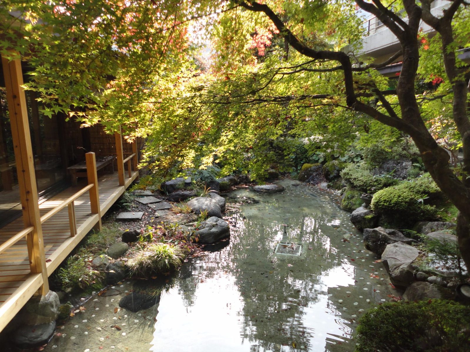 Nikko Kawaji Koyoi