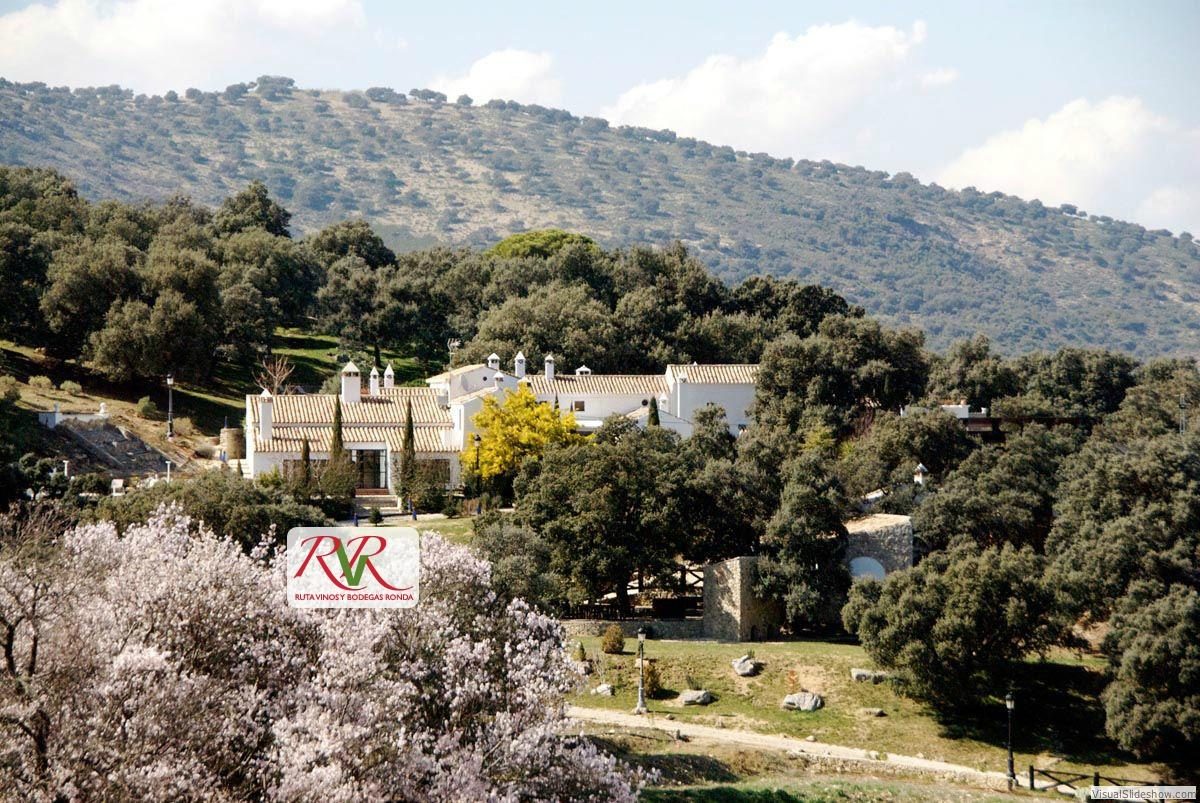 Hotel los pilares de ronda