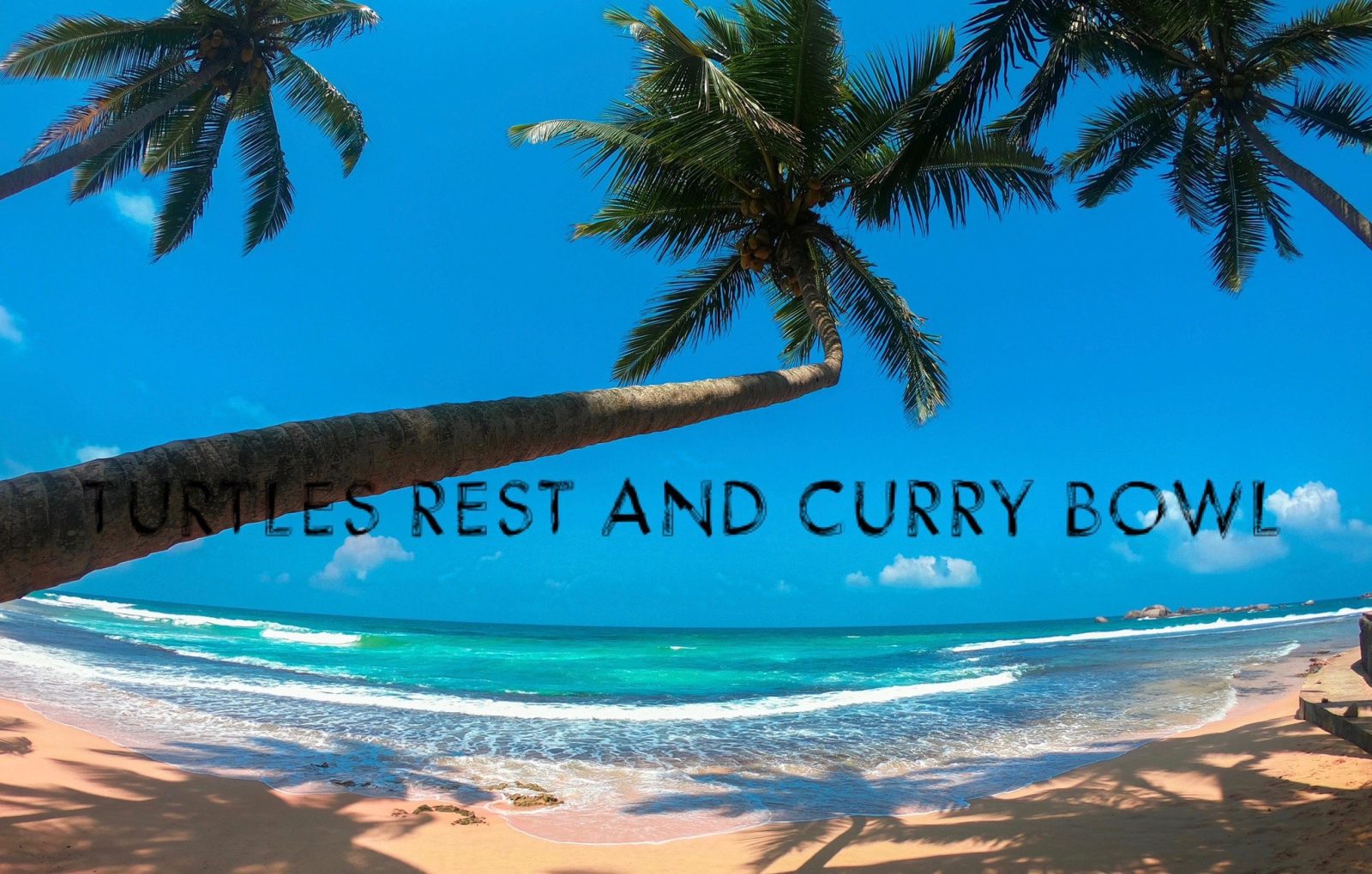 Turtles Rest & Curry Bowl Restaurant