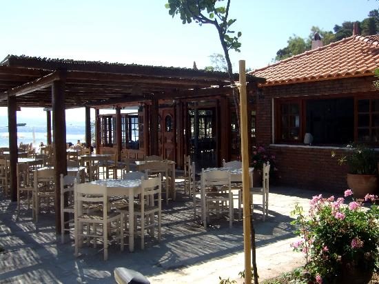 victoria nikos apartments hotel skiathos