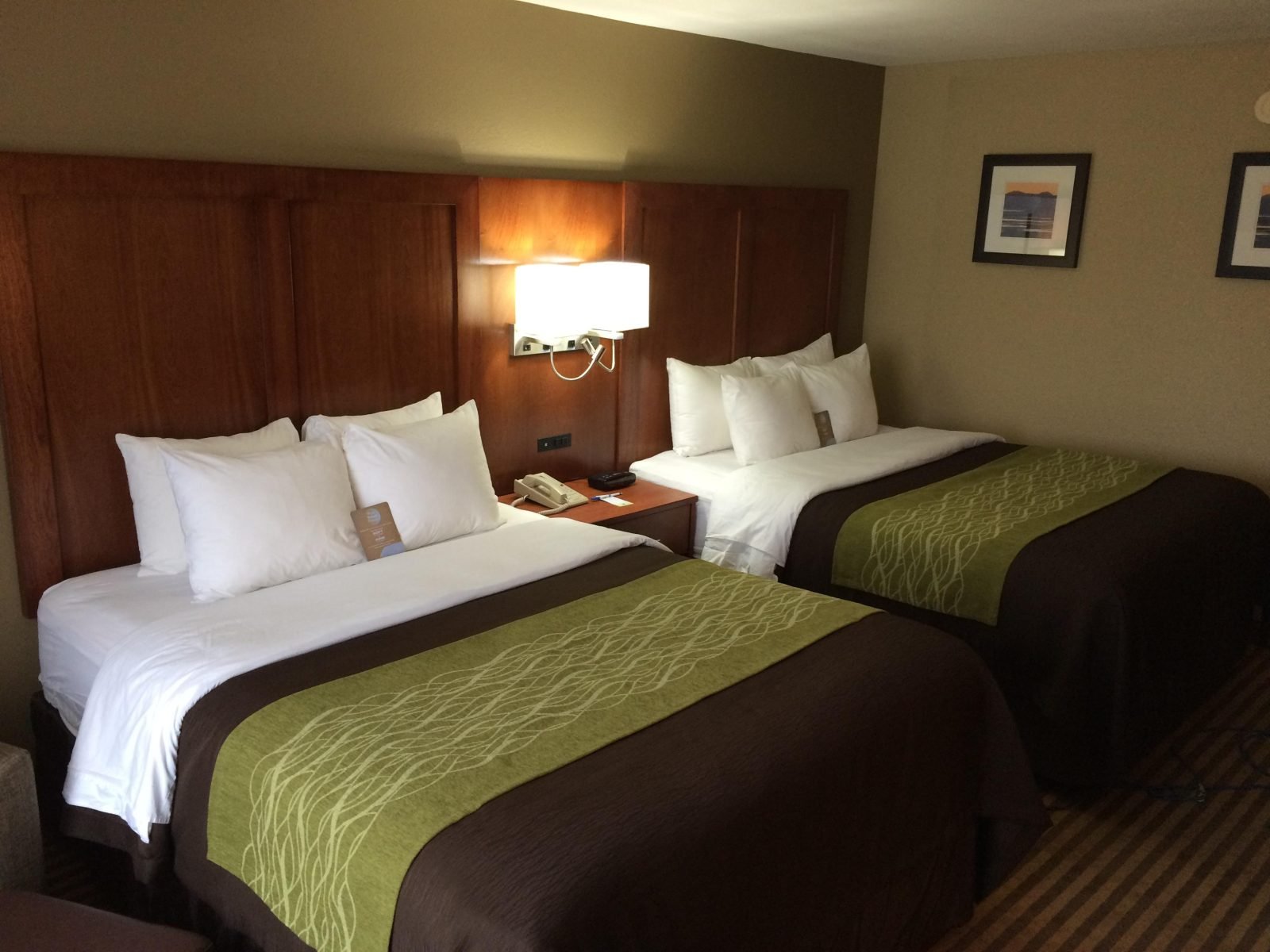 comfort inn north