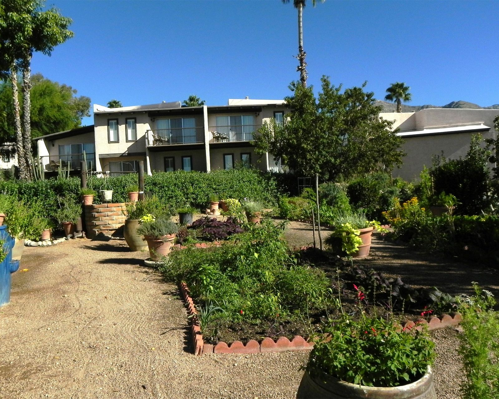 westward look hotel tucson