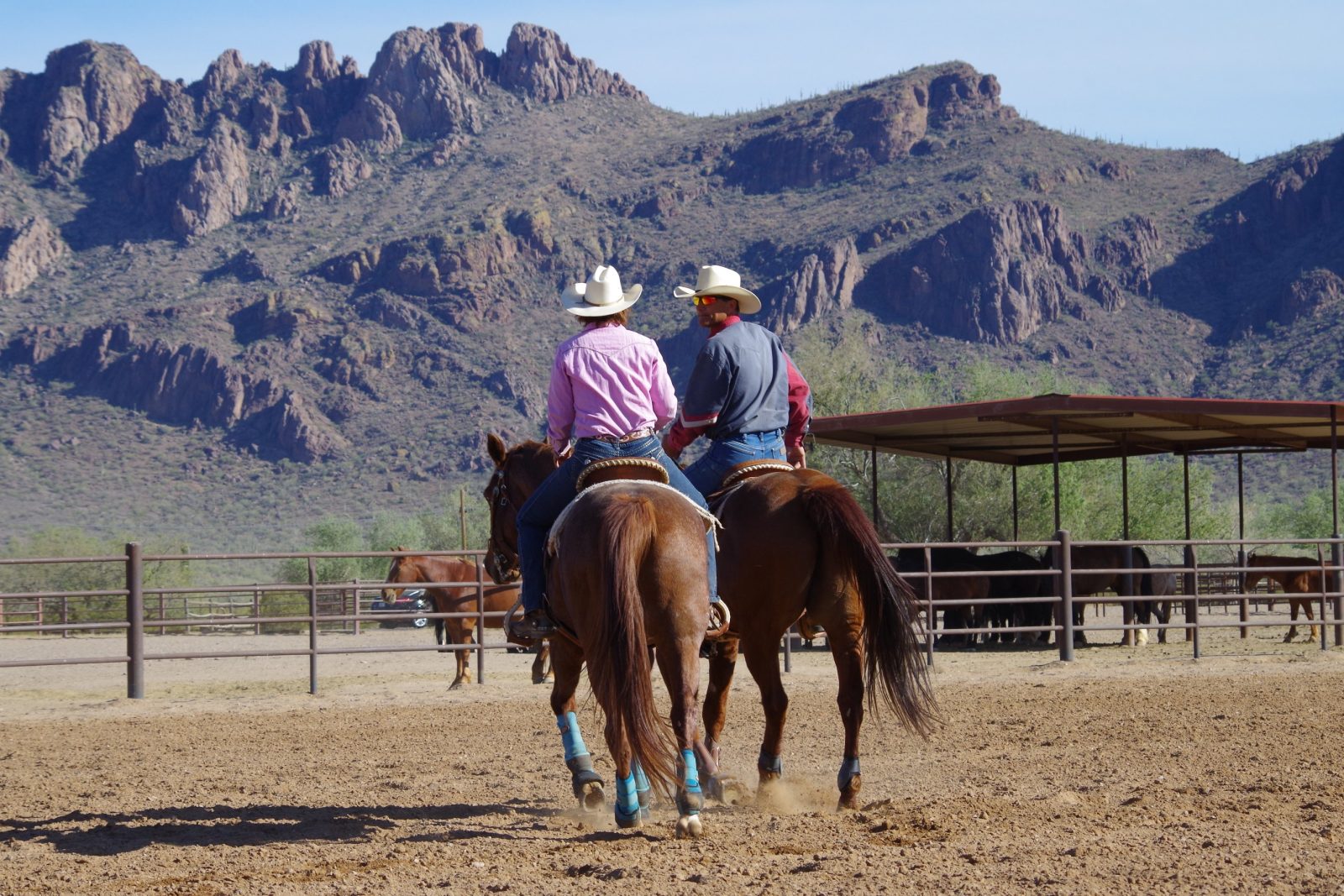 White Stallion Ranch