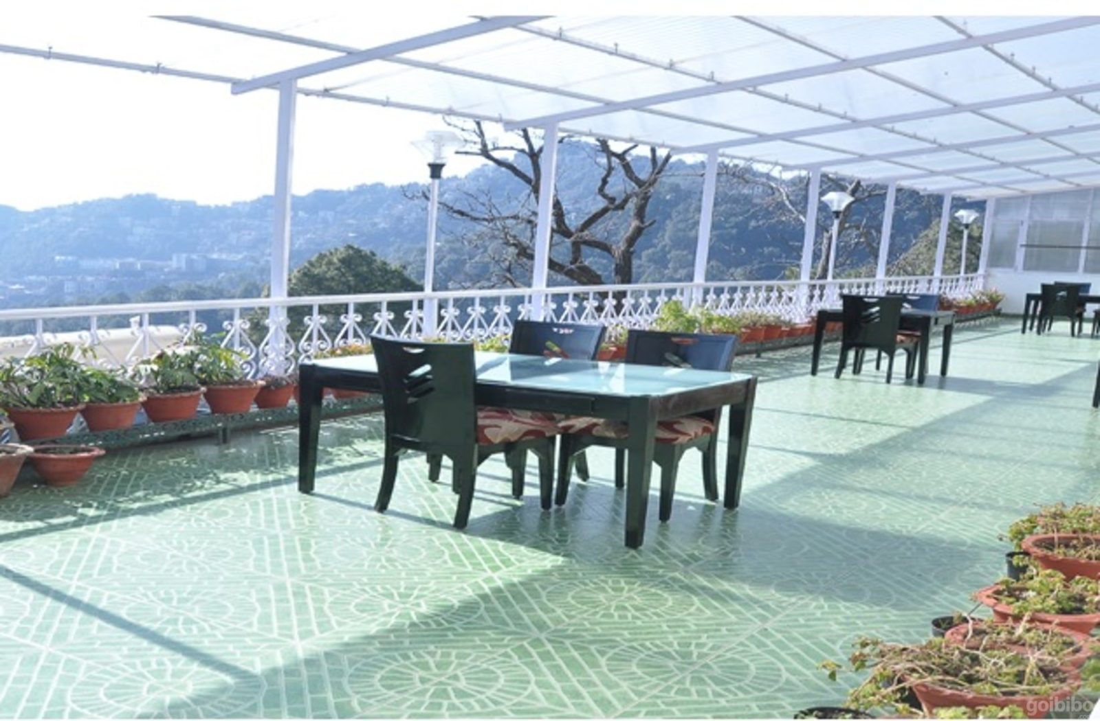 Hotel Blossom Shimla