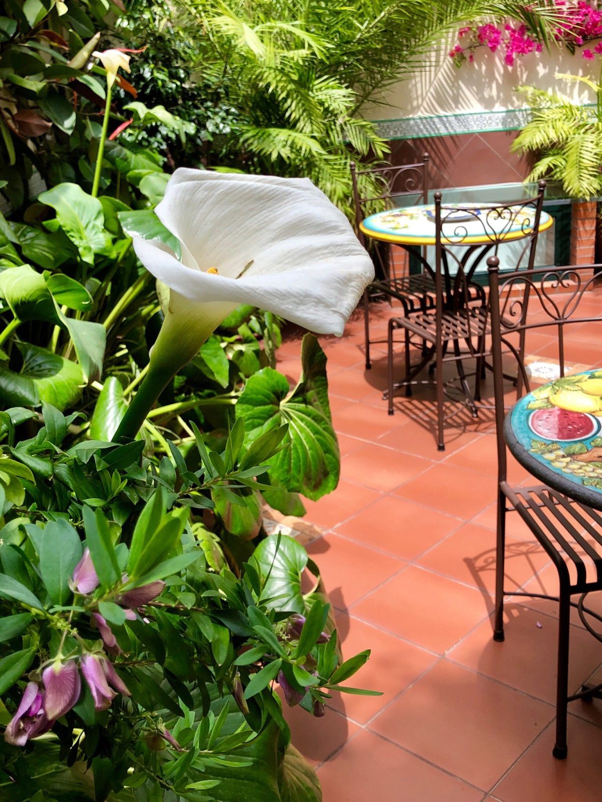 Villa Elisa