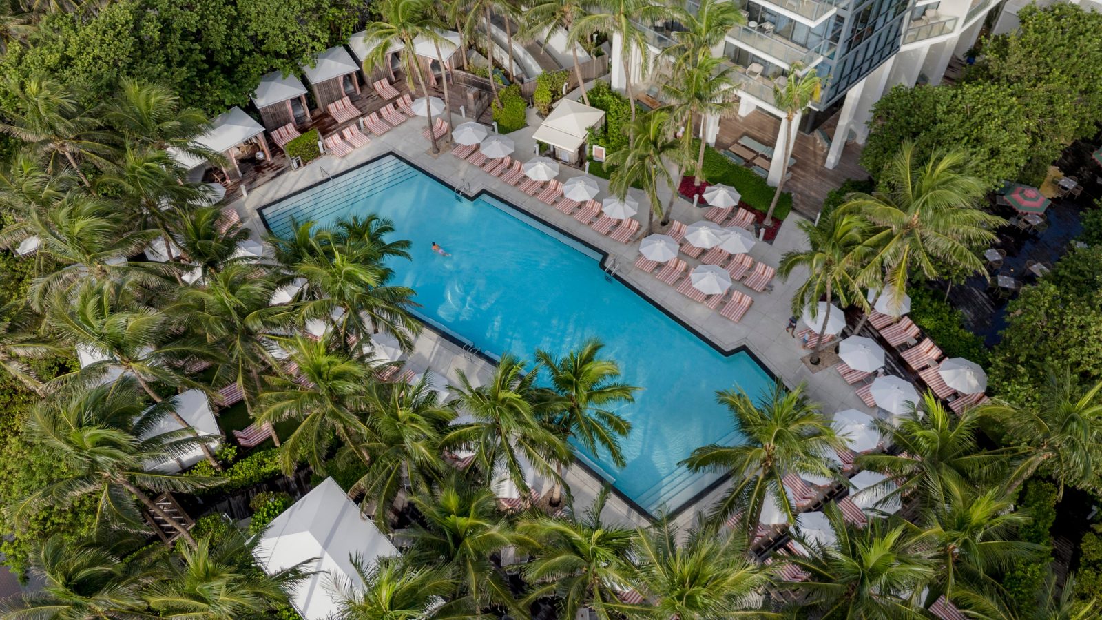 w hotels miami beach