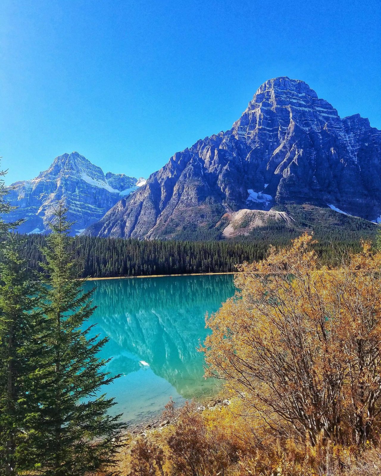 Waterfowl Lake Campground