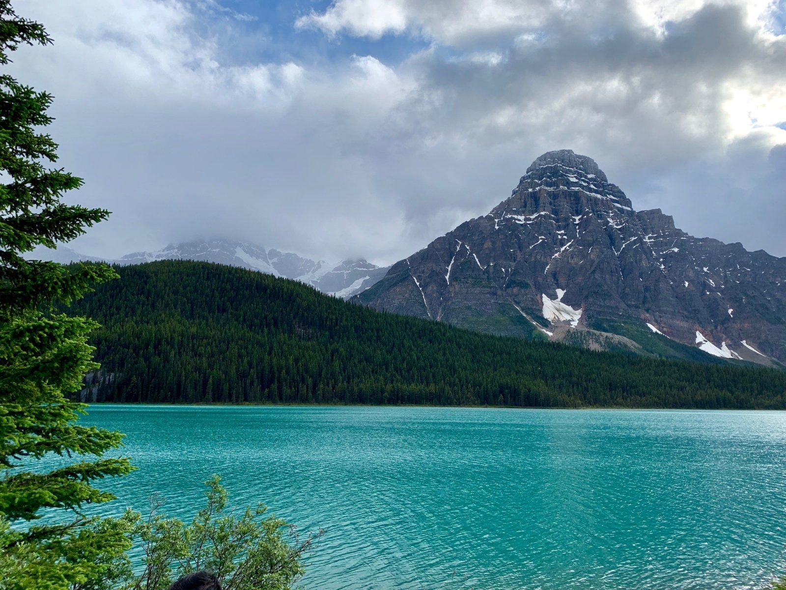 Waterfowl Lake Campground