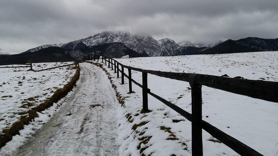 Zakopane Pensjonat Maria