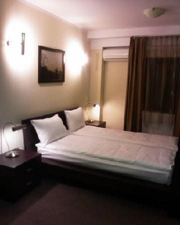 SS Residence Timisoara Pensiunea Tania