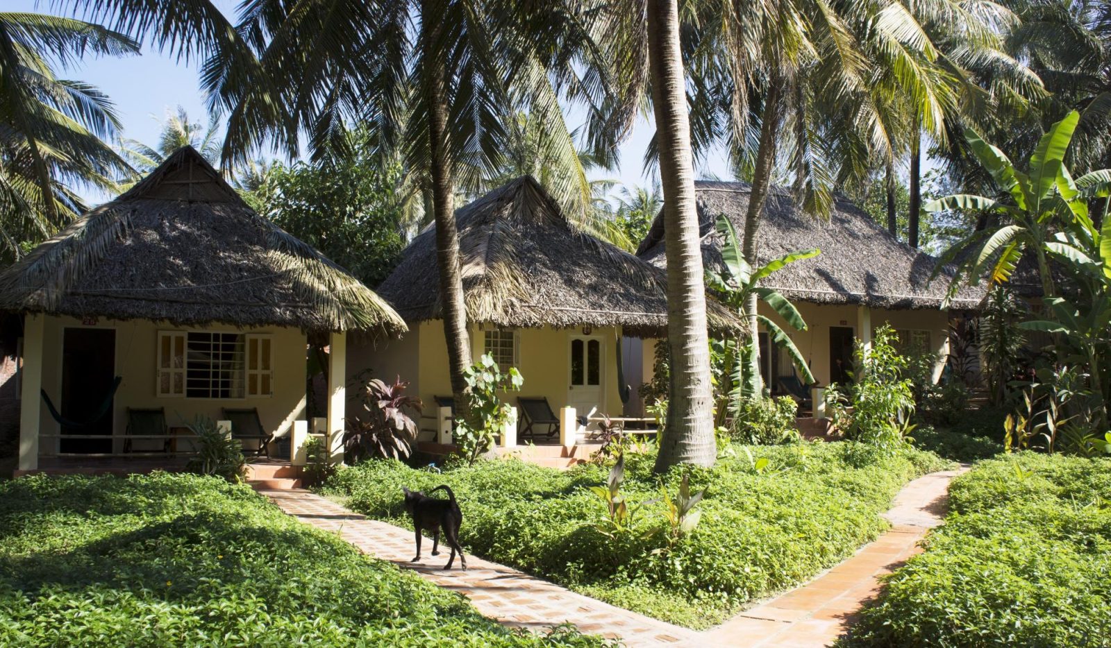 Viet Thanh Resort