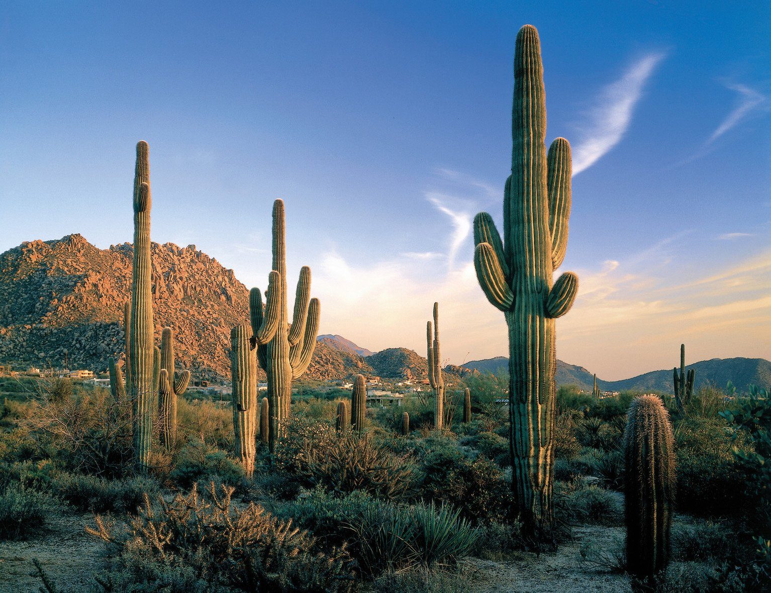 scottsdale four seasons