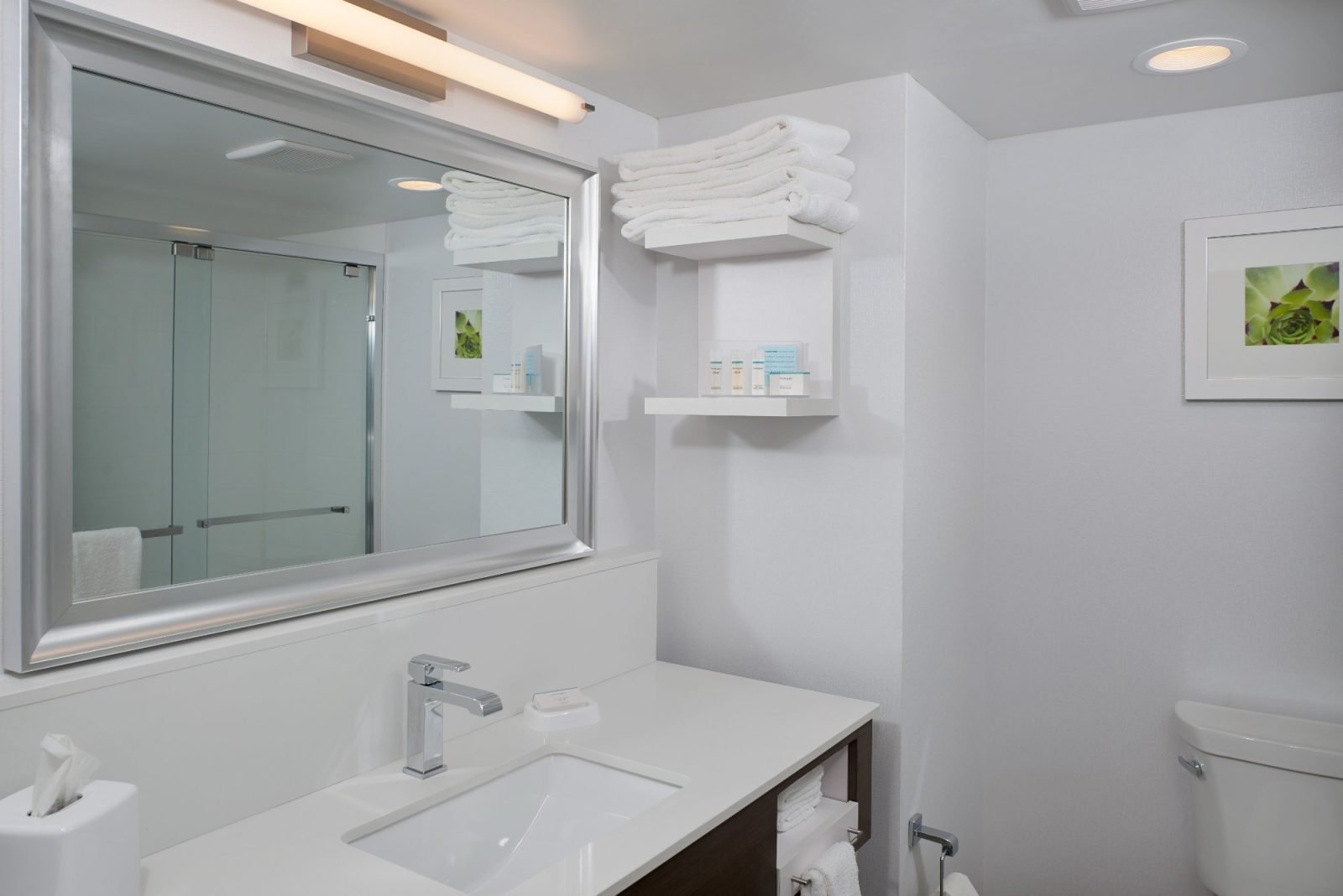 hampton inn phoenix/scottsdale at shea blvd hotel scottsdale