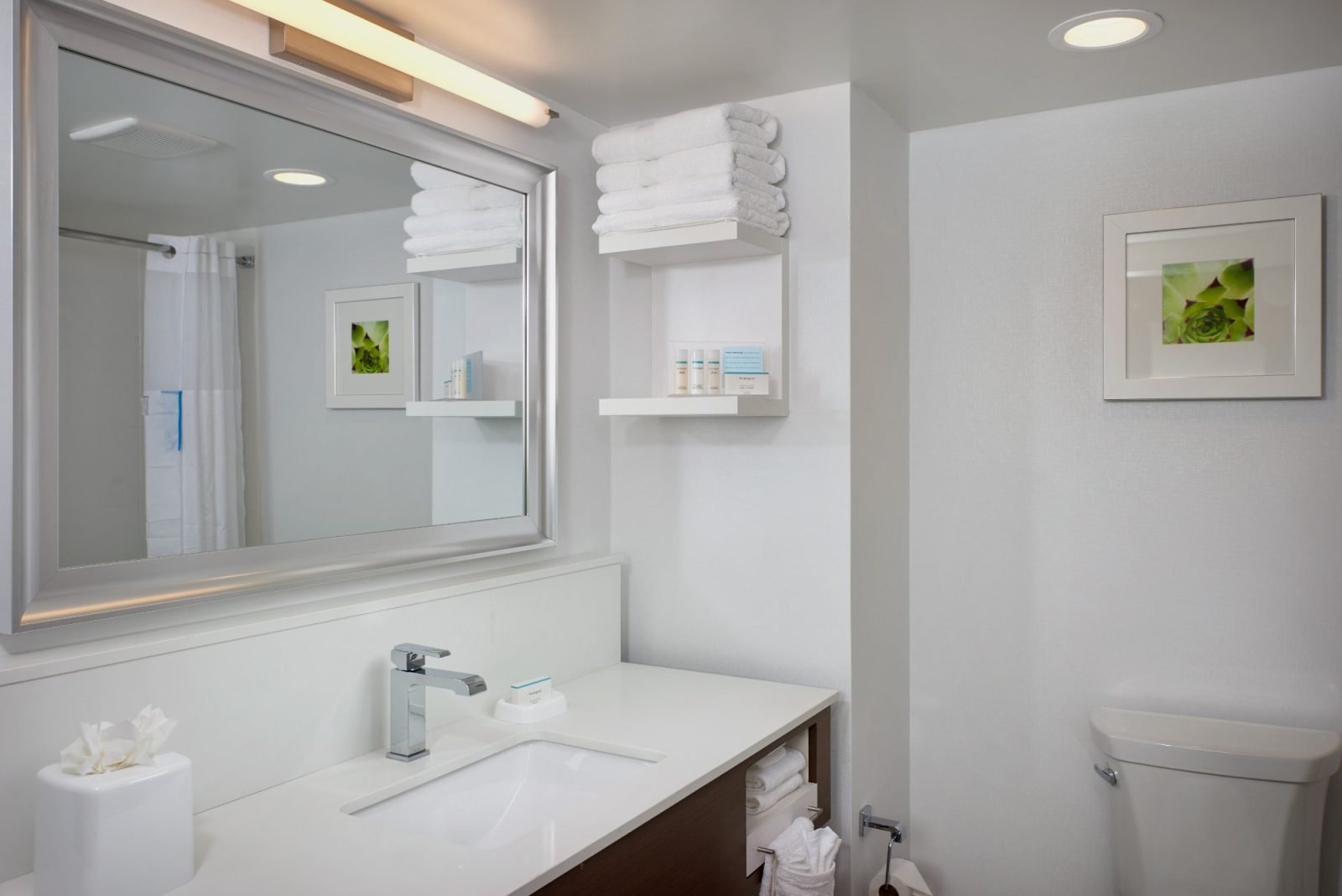 hampton inn phoenix/scottsdale at shea blvd hotel scottsdale