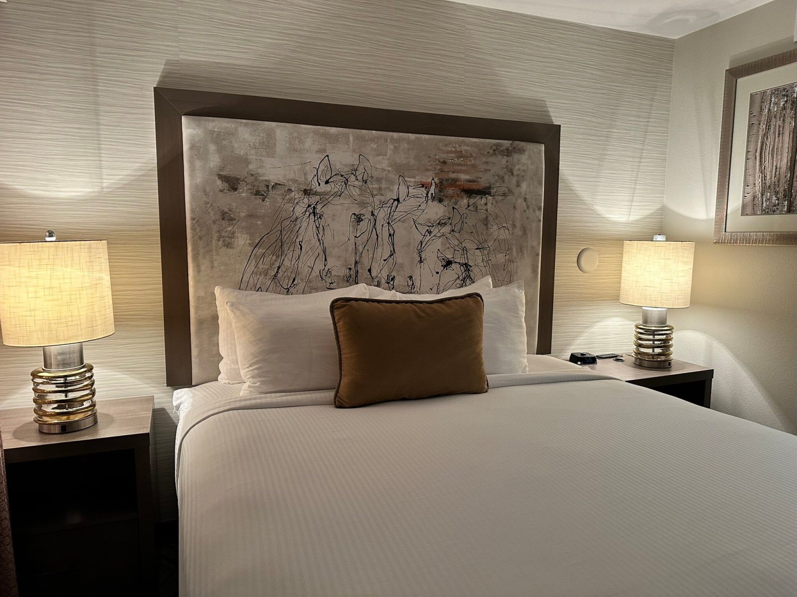 country inn & suites scottsdale hotel scottsdale