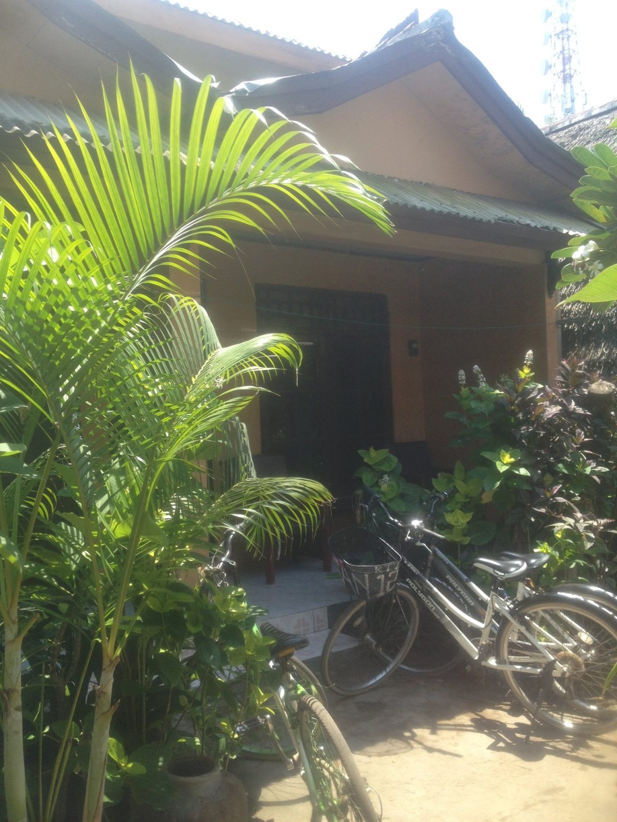edy homestay hotel gili trawangan