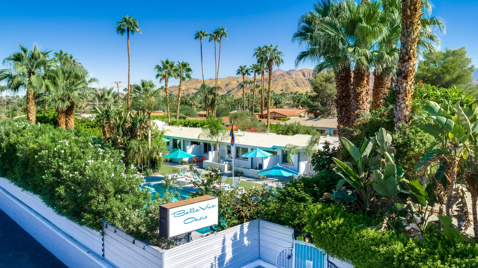 escape hotel palm springs