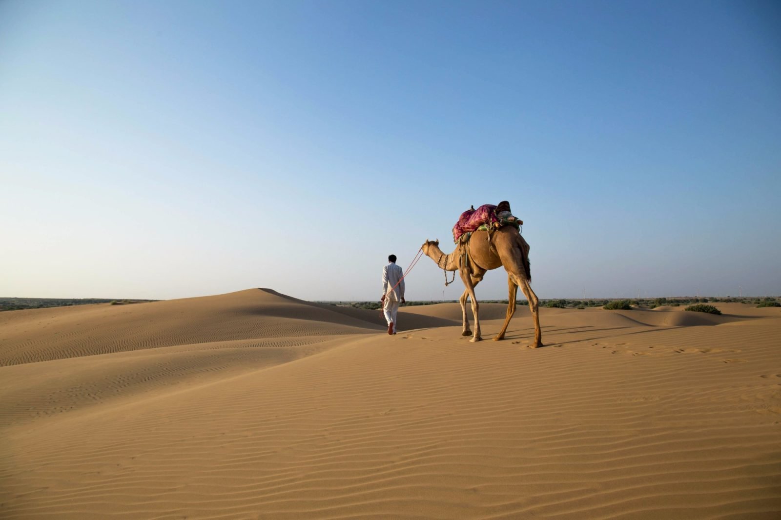 Stay On Dunes Jaisalmer