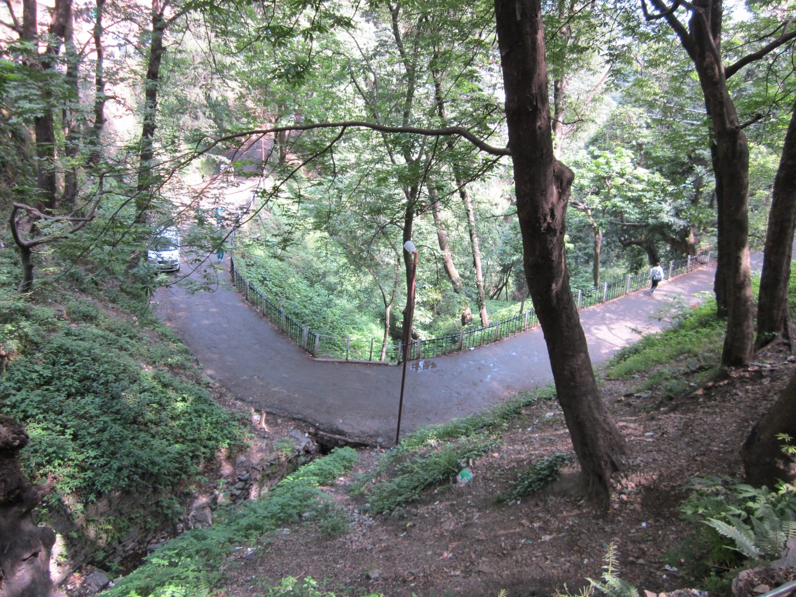 Shimla Youth Hostel