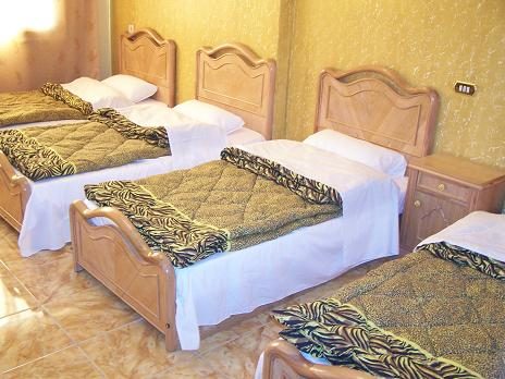 Wake UP! Cairo Hostel