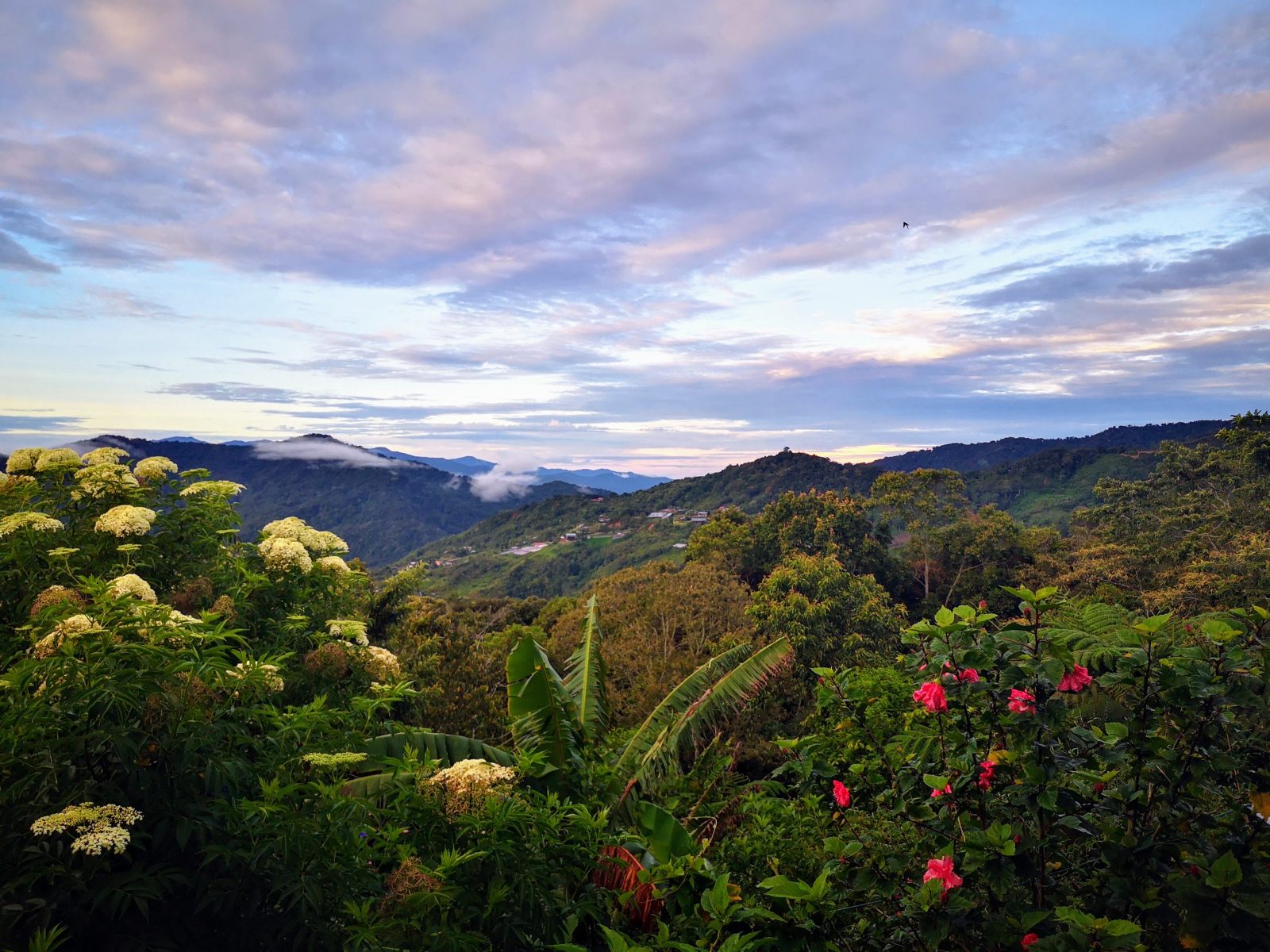 D'Villa Rina Ria Lodge