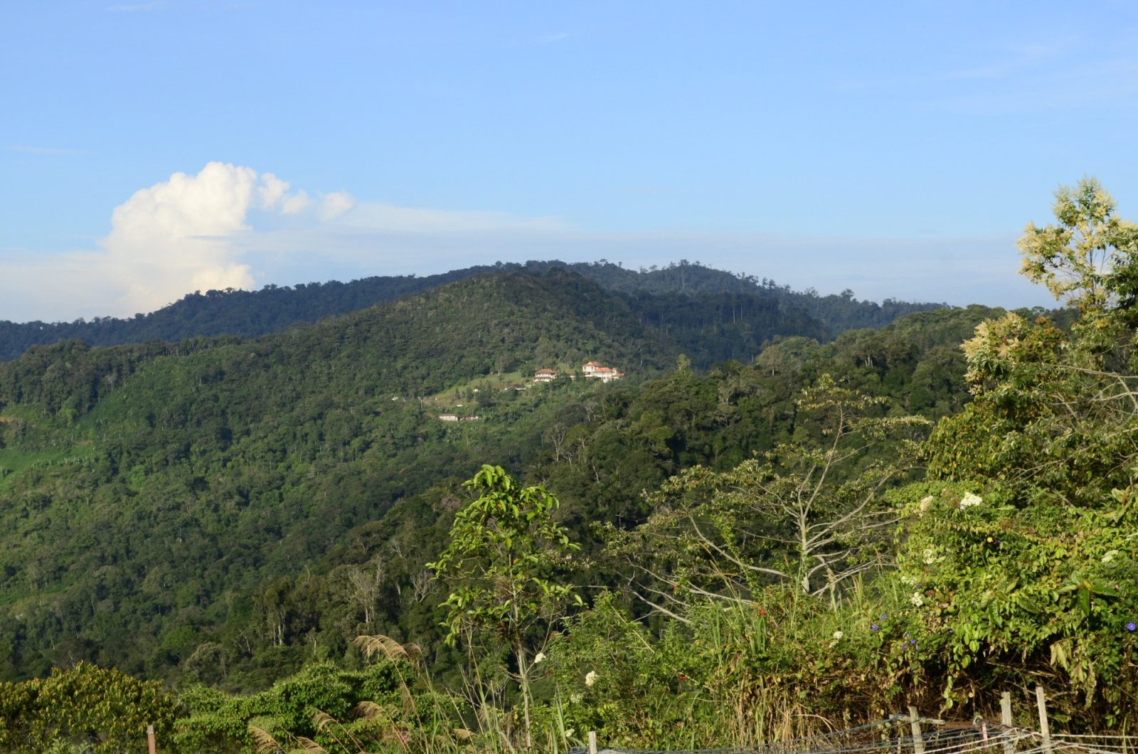 D'Villa Rina Ria Lodge