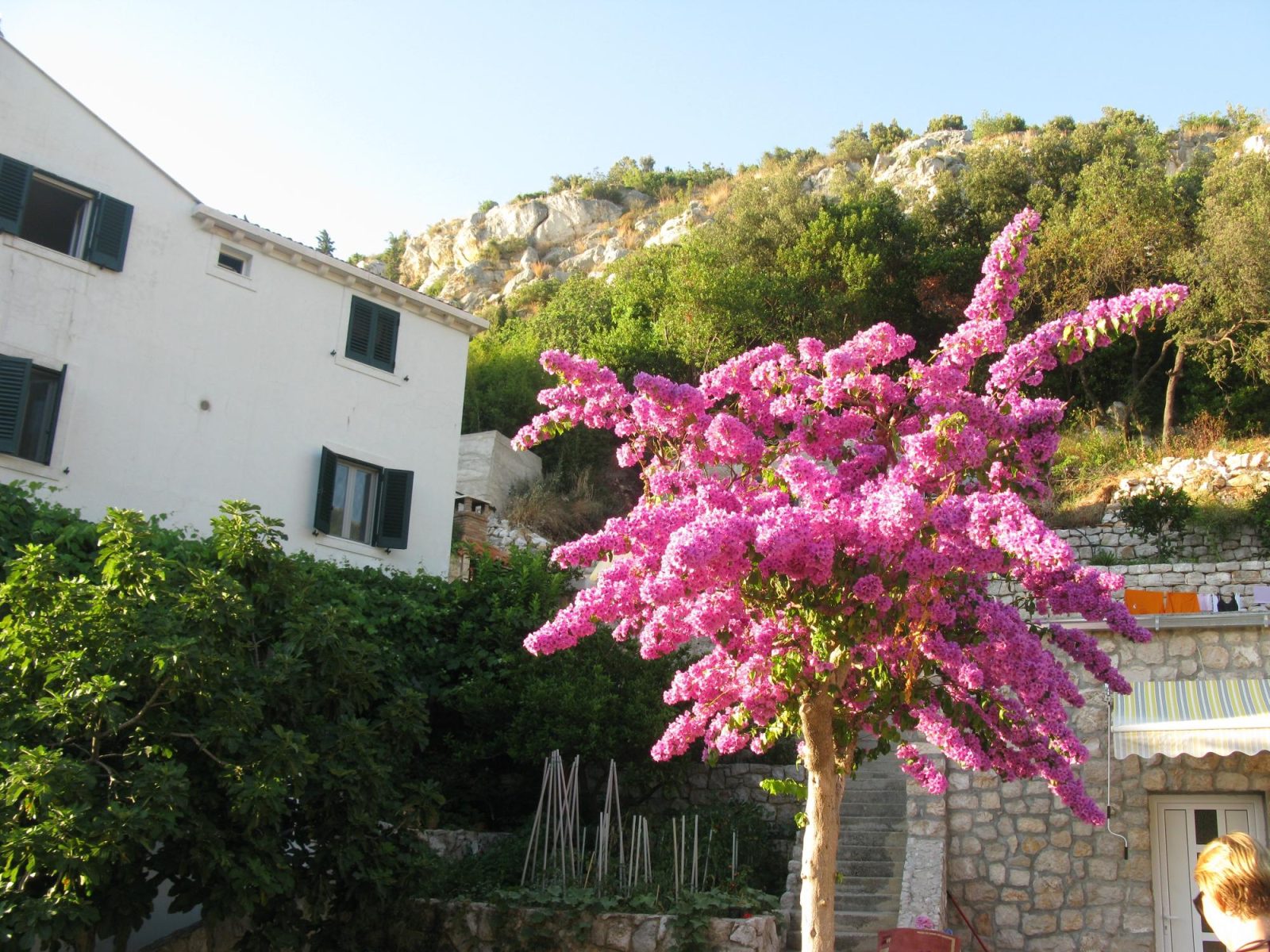 villa doris apartments stikovica hotel dubrovnik
