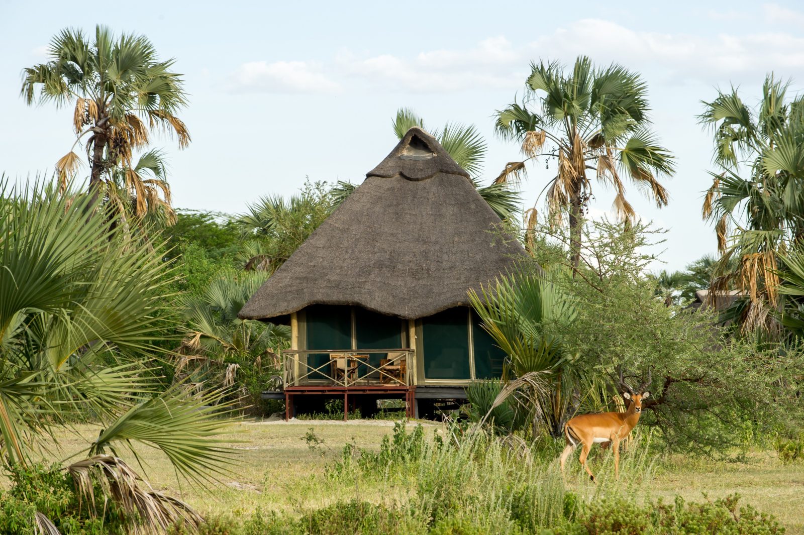 maramboi tented camp hotel tarangire national park