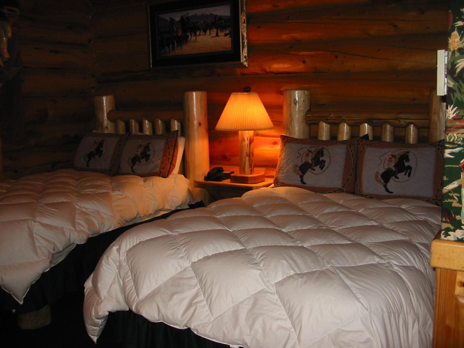 Hibernation Station