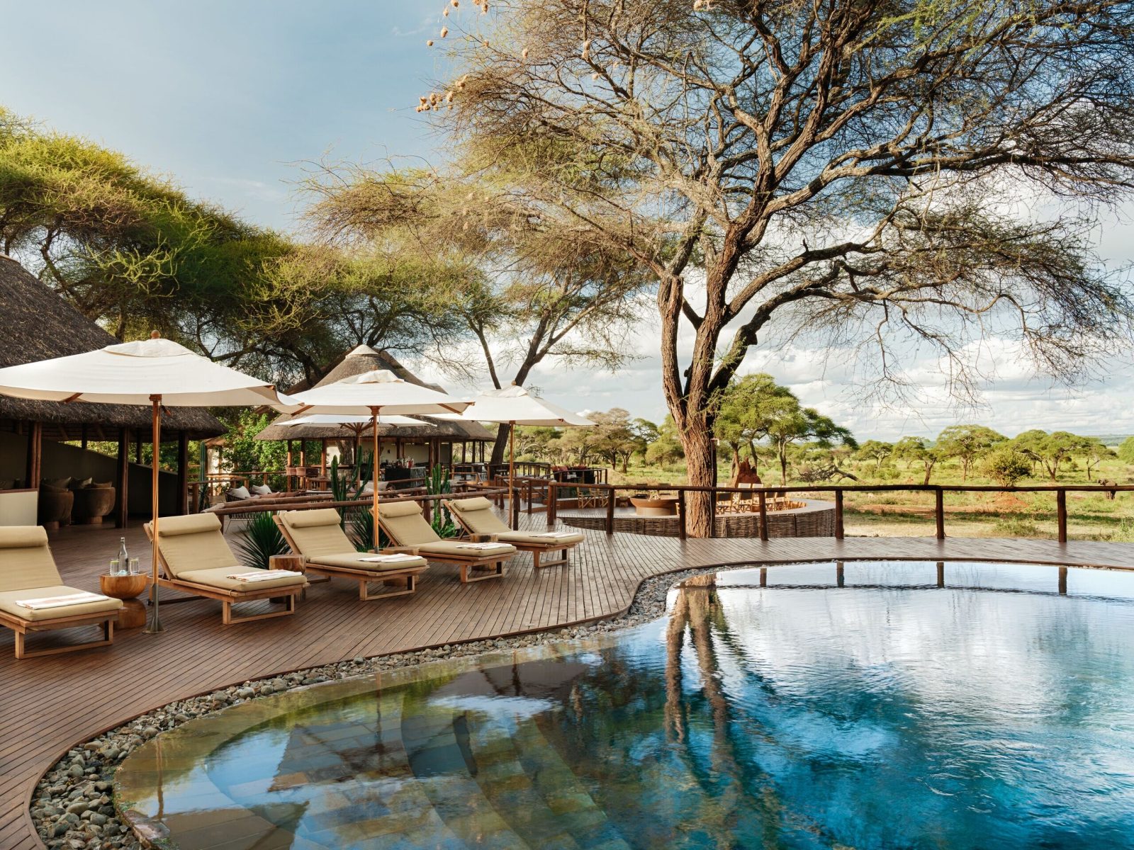 sanctuary swala hotel tarangire national park