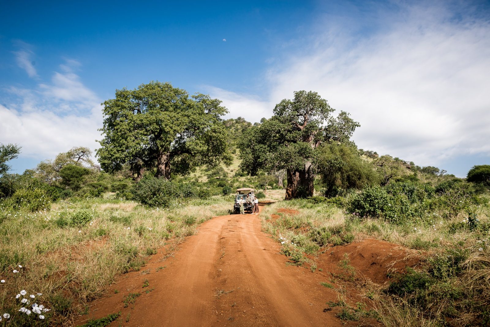 sanctuary swala hotel tarangire national park