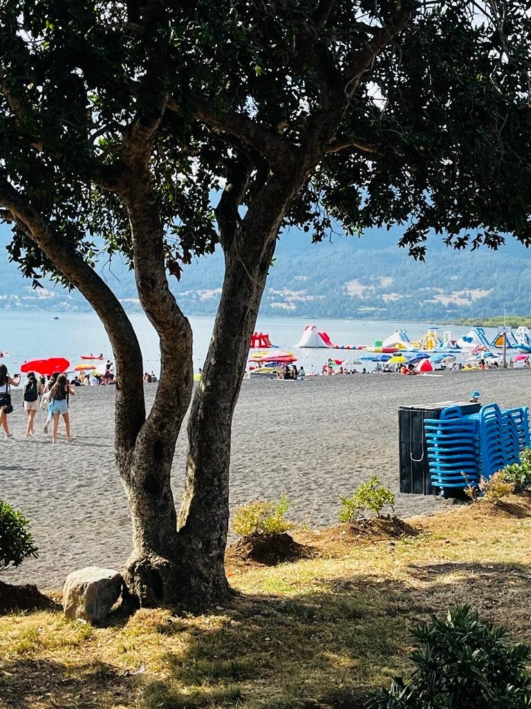 Pucon Playa Grande
