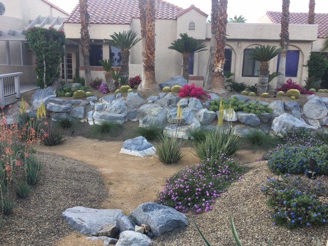 The Oasis Resort
