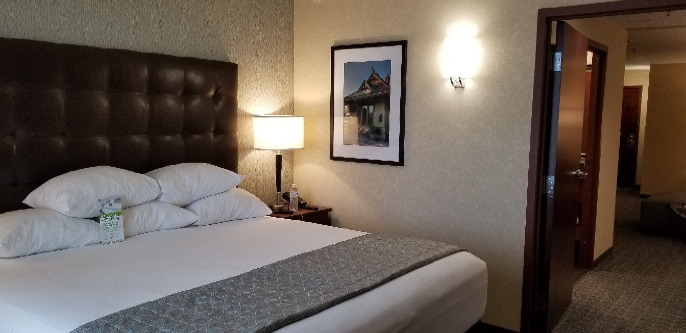 Drury Plaza Hotel St. Louis St. Charles