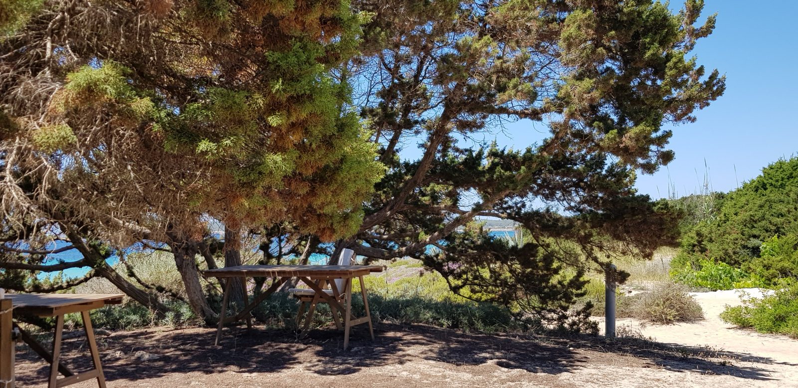 Talaya Formentera