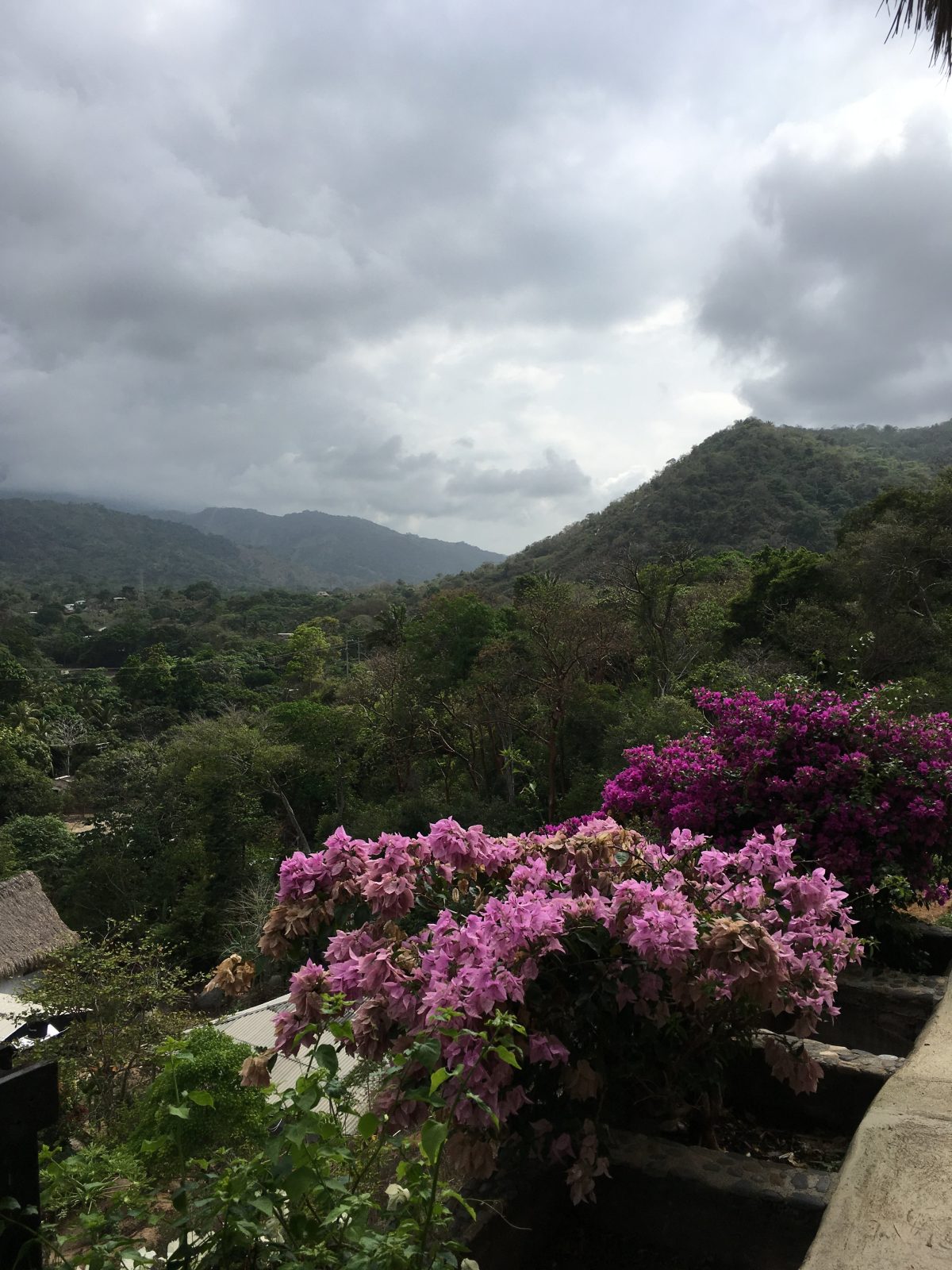 Hostal Casa del Viento Tayrona