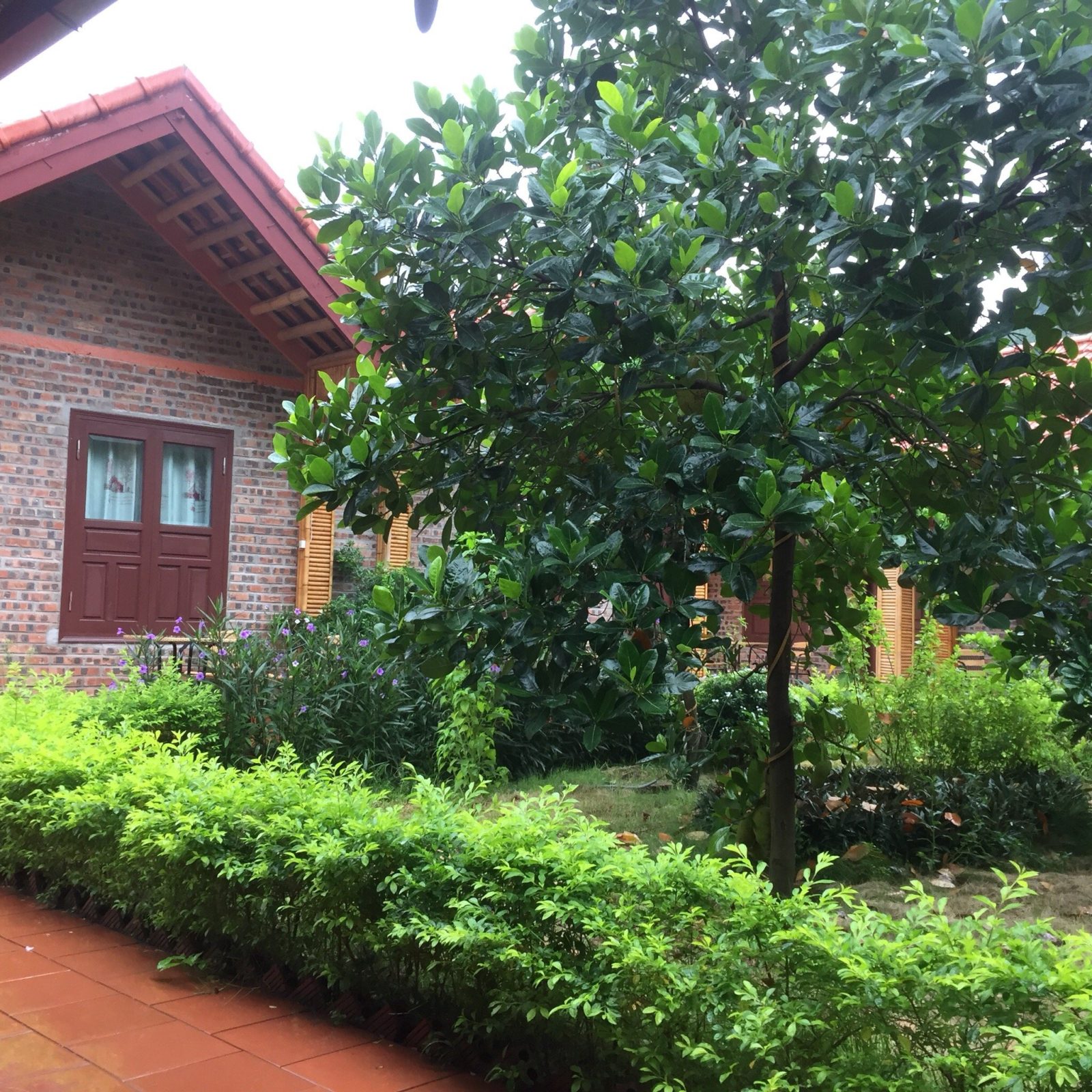 Tam Coc Westlake Homestay